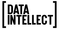 Data Intellect logo